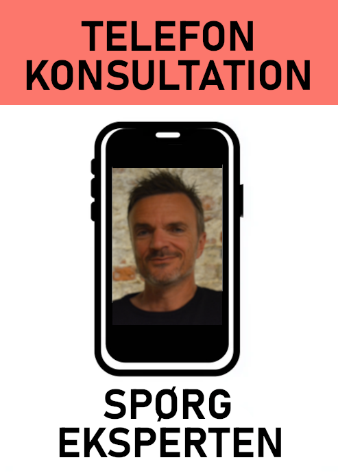 20 min. telefonkonsultation om dit hus