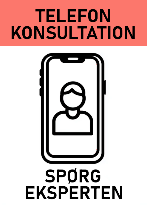 20 min. telefonkonsultation om huset du kigger på